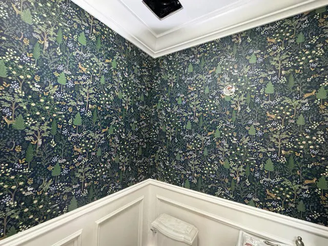 Professional wallpaper removal service Illinois in River North, Chicago